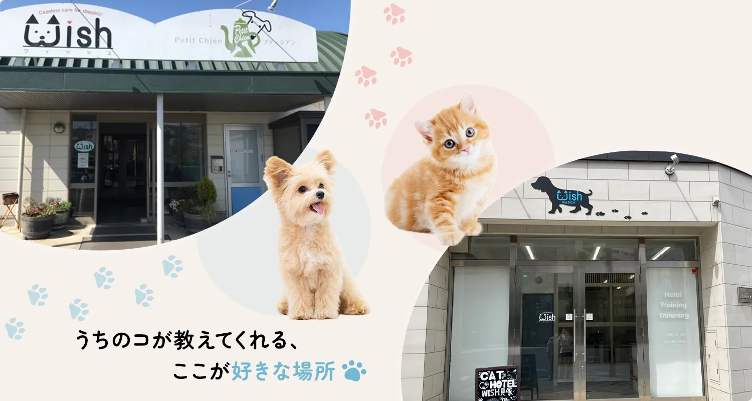 Wishトップページ