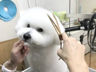 トリミング